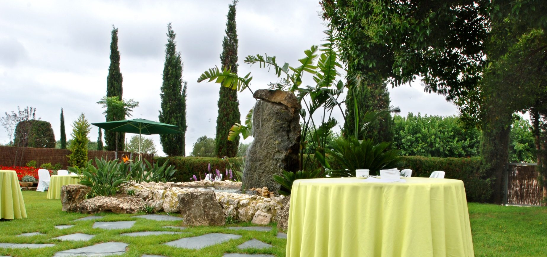 Grupo de sillas blancas dispuestas en un área al aire libre rodeada de árboles.